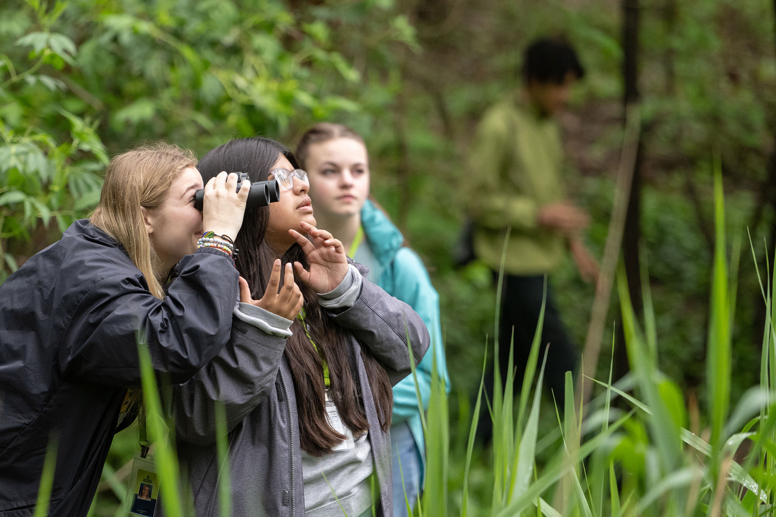 3 Girls Standing Next to Each Other Along the Tree Line and Sharing Binoculars for Birding